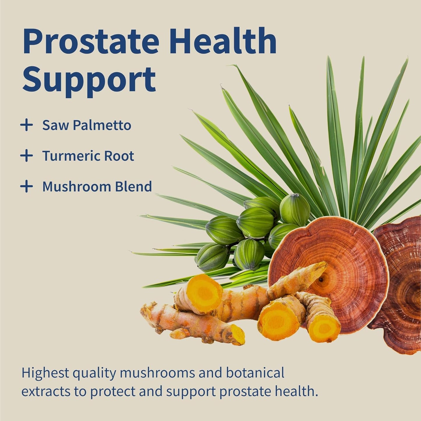 Snap Supplements Prostate Health Support Supplement Bundle with Nitric Oxide Booster